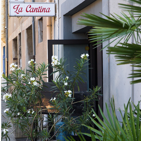 pg电子河南站-APP下载